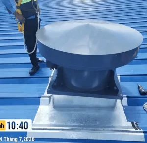 dự án kolon nóc gió