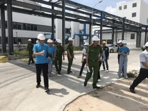 dự án timberland hướng dẫn sử dụng